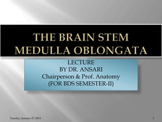 LECTURE
BY DR. ANSARI
Chairperson & Prof. Anatomy
(FOR BDS SEMESTER-II)

Tuesday, January 07, 2014

1

 