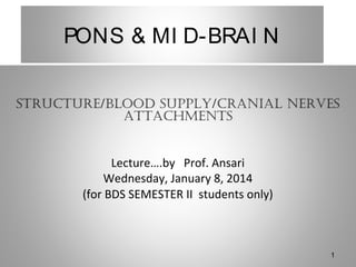 PONS & MI D-BRAI N
STRUCTURE/BLOOD SUPPLY/CRANIAL NERVES
ATTACHMENTS
Lecture….by Prof. Ansari
Wednesday, January 8, 2014
(for BDS SEMESTER II students only)

1

 