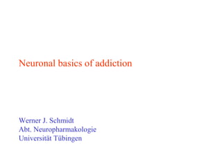 Neuronal basics of addiction
Werner J. Schmidt
Abt. Neuropharmakologie
Universität Tübingen
 