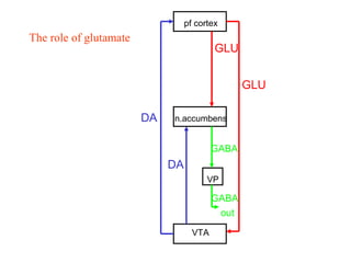 The role of glutamate
DA
pf cortex
n.accumbens
VTA
VP
DA
GLU
GLU
GABA
out
GABA
 