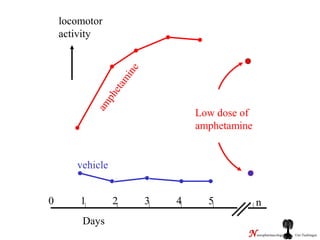 locomotor
activity
Low dose of
amphetamine
amphetamine
0 1 2 3 4 5 n
vehicle
Days
Neuropharmacology Uni-Tuebingen
 