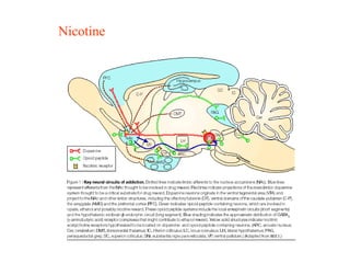 Nicotine
 