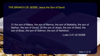 31 the son of Melea, the son of Menna, the son of Mattatha, the son of
Nathan, the son of David, 32 the son of Jesse, the son of Obed, the
son of Boaz, the son of Salmon, the son of Nahshon.
- Luke 3:31-32 NASB
THE BRANCH OF JESSE: Jesus the Son of David
Slide 11 of 18
 