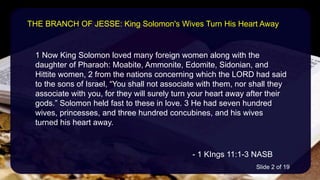 1 Now King Solomon loved many foreign women along with the
daughter of Pharaoh: Moabite, Ammonite, Edomite, Sidonian, and
Hittite women, 2 from the nations concerning which the LORD had said
to the sons of Israel, “You shall not associate with them, nor shall they
associate with you, for they will surely turn your heart away after their
gods.” Solomon held fast to these in love. 3 He had seven hundred
wives, princesses, and three hundred concubines, and his wives
turned his heart away.
- 1 KIngs 11:1-3 NASB
THE BRANCH OF JESSE: King Solomon's Wives Turn His Heart Away
Slide 2 of 19
 