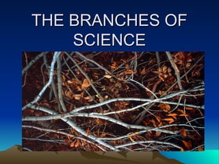 Natural Science Physical Sciences Physics Chemistry Earth and Space ...