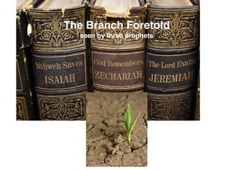 The Branch Foretold
seen by three prophets
 