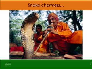 Snake charmers… 5/10/2008 