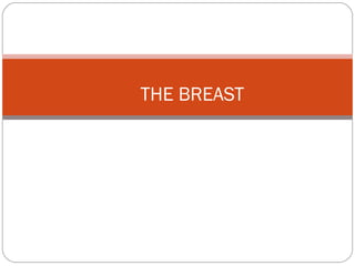 THE BREAST

 
