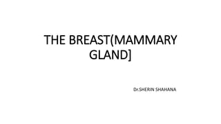 THE BREAST(MAMMARY
GLAND]
Dr.SHERIN SHAHANA
 