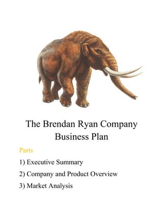 The Brendan Ryan Company
Business Plan
Parts
1) Executive Summary
2) Company and Product Overview
3) Market Analysis
 