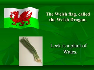 The Welsh flag, calledThe Welsh flag, called
the Welsh Dragon.the Welsh Dragon.
Leek is a plant ofLeek is a plant of
Wales.Wales.
 