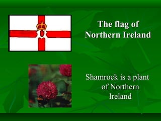 The flag ofThe flag of
Northern IrelandNorthern Ireland
Shamrock is a plantShamrock is a plant
of Northernof Northern
IrelandIreland
 
