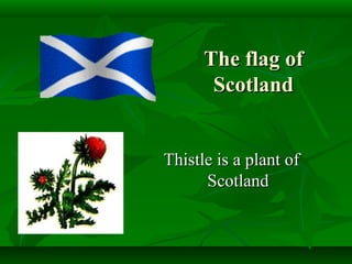 The flag ofThe flag of
ScotlandScotland
Thistle is a plant ofThistle is a plant of
ScotlandScotland
 