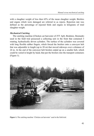 The catching machine 'Chicken cat harvester' used in the field