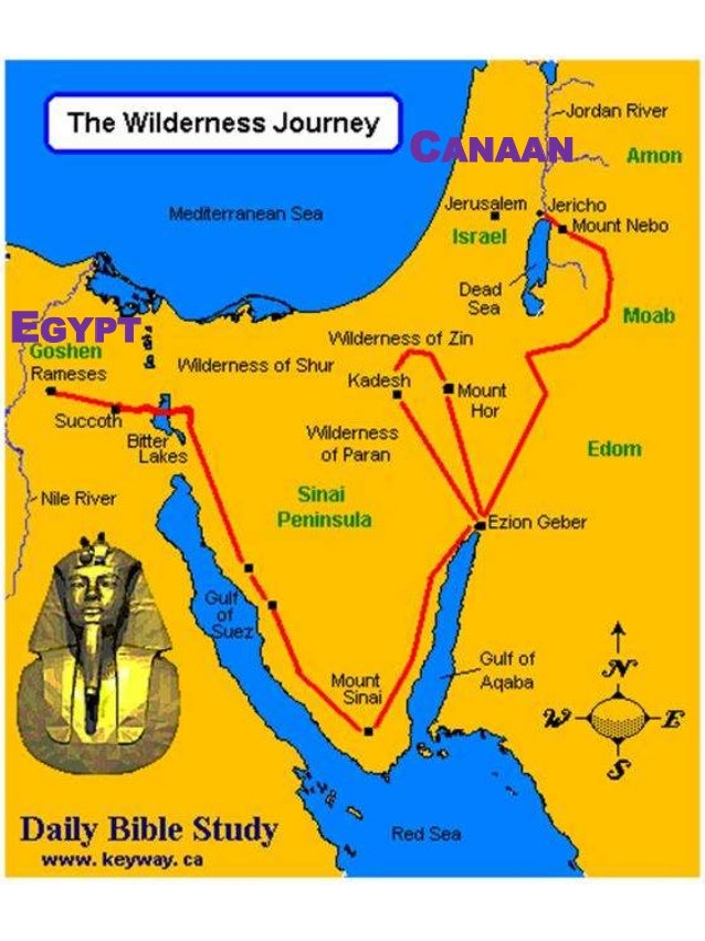 The Bronze Bow notes