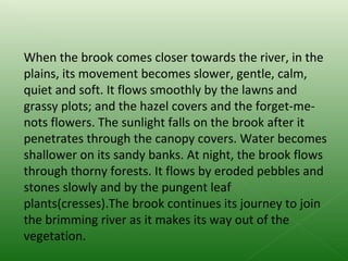 When the brook comes closer towards the river, in the plains, its movement becomes slower, gentle, calm, quiet and soft. It flows smoothly by the lawns and grassy plots; and the hazel covers and the forget-me-nots flowers. The sunlight falls on the brook after it penetrates through the canopy covers. Water becomes shallower on its sandy banks. At night, the brook flows through thorny forests. It flows by eroded pebbles and stones slowly and by the pungent leaf plants(cresses).The brook continues its journey to join the brimming river as it makes its way out of the vegetation. 