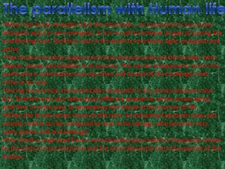 When the brook emerges from the mountains , its movement is very noisy and quick and it is very energetic. It is in a rush to achieve its goal of joining the overflowing river. Similarly, man in his youth is very lively, agile, energetic and active.  The brook in its early stages is very fast and overcomes all the hurdles, hard objects, stones and pebbles in its journey. This can be compared to man in his youth who is enthusiastic and can strive and accept all the challenges that come in his way.  During the journey, the brook takes along with it silt, gravel, blossoms and fish. Similarly man also takes away different people he comes across along with him, in some way, to accompany him ahead in the journey of life.  When the brook comes closer to the river, its movement becomes slow and smooth, which can be compared to man in his old age, who becomes very calm, gentle, soft and lethargic.  The brook is originated from a very beautiful place which is frequently visited by the birds of coot and herns and the man takes birth from the woomb of the mother. 