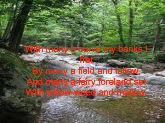 the brook