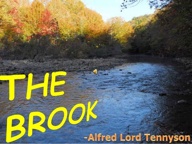 The brook ppt