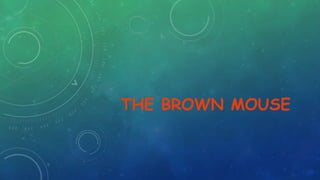 THE BROWN MOUSE
 