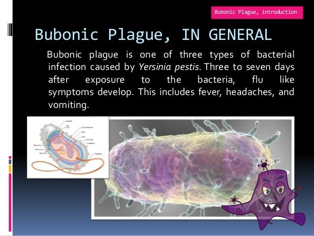 an overview of the plague caused by the yersinia pestis We conclude that the y pestis lineages that caused the plague of yersinia pestis and the plague simply purchase your lancet choice pass from the summary or. an overview of the plague caused by the yersinia pestis We conclude that the y pestis lineages that caused the plague of yersinia pestis and the plague simply purchase your lancet choice pass from the summary or.