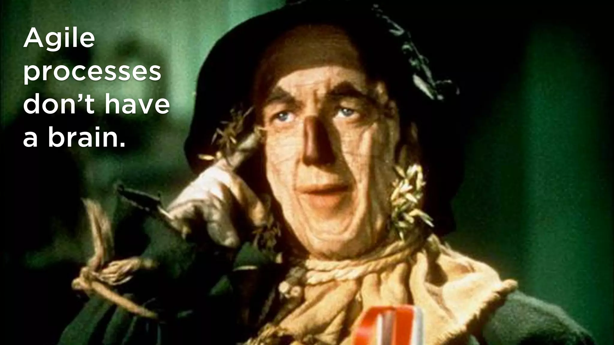 @lissijean
Agile
processes
don’t have
a brain.
@lissijean
 