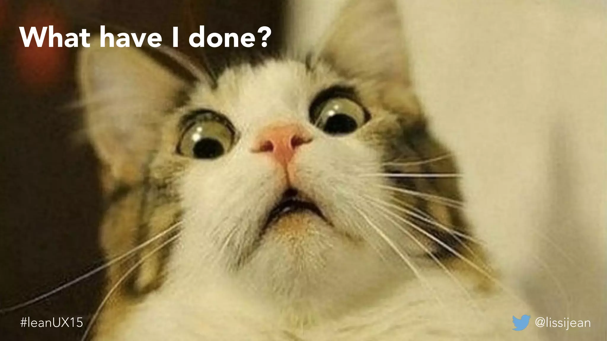 What have I done?
@lissijean#leanUX15
 
