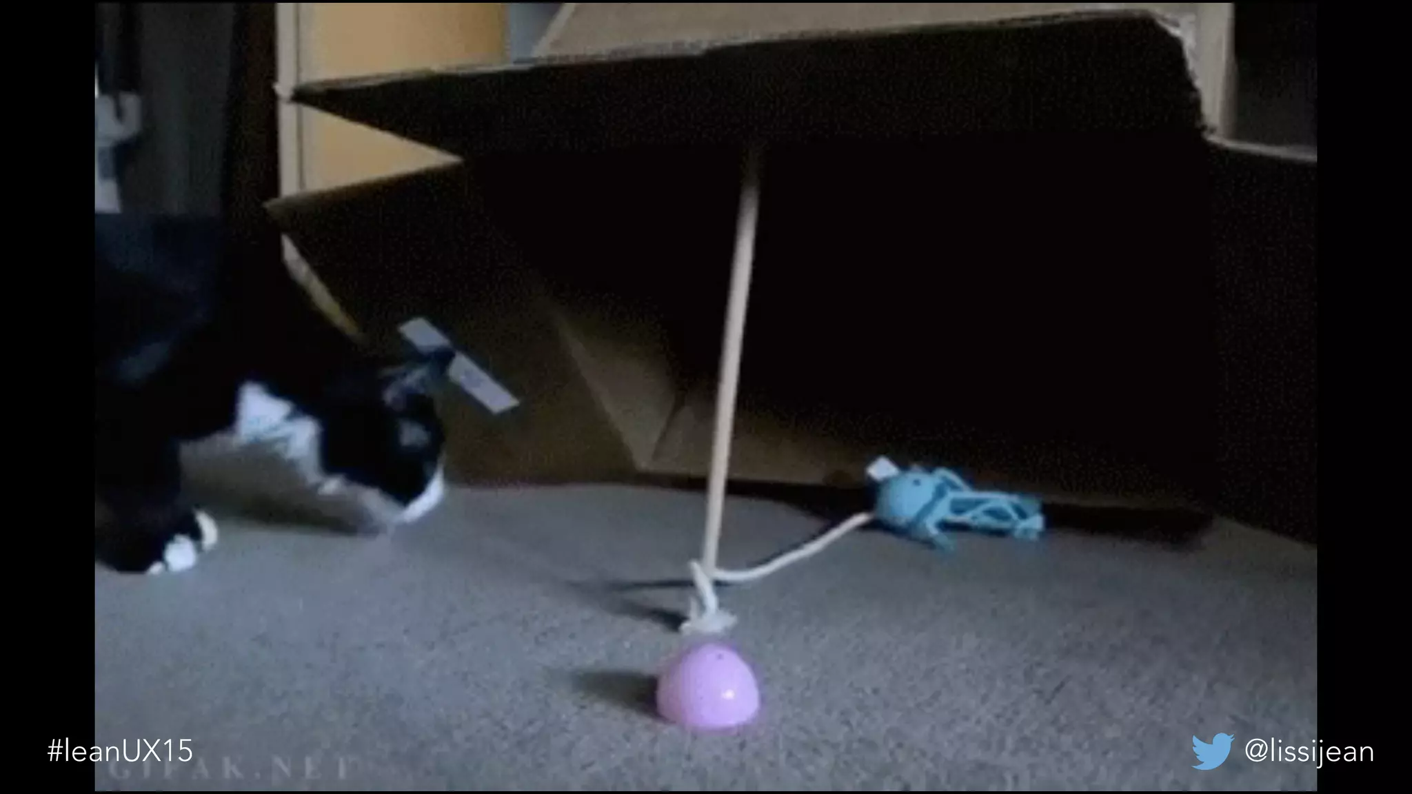 @lissijean#leanUX15
 