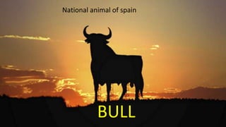BULL
National animal of spain
 