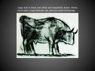 Large bull in black and white and beautifully drawn. Pointy horns with a huge backside, tail, and very weak looking legs. 