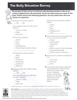 The Bully Situation Survey