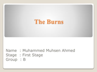 The Burns
Name : Muhammed Muhsen Ahmed
Stage : First Stage
Group : B
 