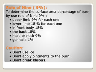 The burns | PPTX