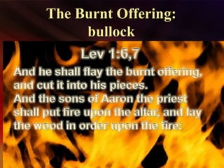 The Burnt Offering:The Burnt Offering:
bullockbullock
 