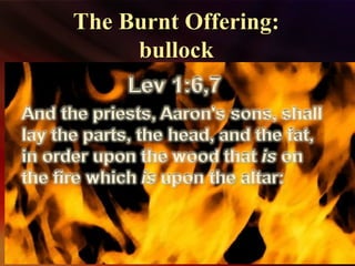 The Burnt Offering:The Burnt Offering:
bullockbullock
 