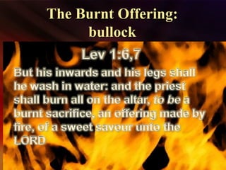 The Burnt Offering:The Burnt Offering:
bullockbullock
 