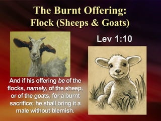 The Burnt Offering:The Burnt Offering:
Flock (Sheeps & Goats)Flock (Sheeps & Goats)
 