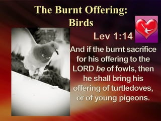The Burnt Offering:The Burnt Offering:
BirdsBirds
 