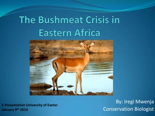 The Bushmeat Crisis in Eastern Africa  By: Iregi Mwenja Conservation Biologist A Presentation University of Exeter January 9th 2010  