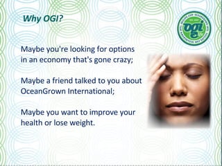 Why OGI? Maybe you're looking for options in an economy that's gone crazy; Maybe a friend talked to you about OceanGrown International; Maybe you want to improve your health or lose weight. 