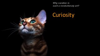 Why curation is
such a revolutionary art?
Curiosity
 