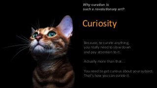 Why curation is
such a revolutionary art?
Curiosity
Because, to curate anything,
you really need to slow down
and pay atte...