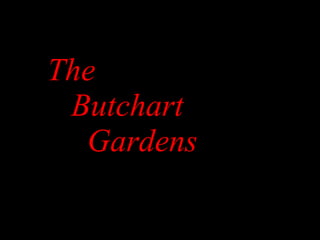 The   Butchart   Gardens 