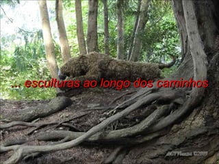 ... esculturas ao longo dos caminhos 
