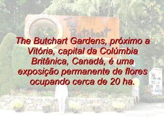The Butchart Gardens, próximo a Vitória, capital da Colúmbia Britânica, Canadá, é uma exposição permanente de flores ocupando cerca de 20 ha. 