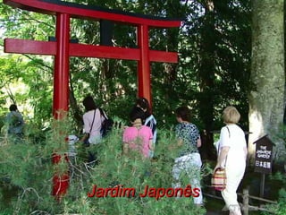 Jardim Japonês 