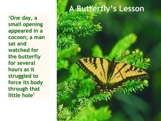 A Butterfly’s Lesson ‘ One day, a small opening appeared in a cocoon; a man sat and watched for the butterfly for several hours as it struggled to force its body through that little hole’ 
