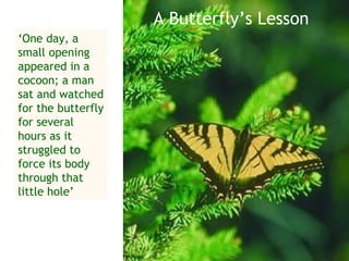 A Butterfly’s Lesson
‘One day, a
small opening
appeared in a
cocoon; a man
sat and watched
for the butterfly
for several
hours as it
struggled to
force its body
through that
little hole’
 