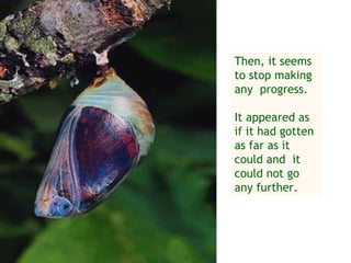 Then, it seems
to stop making
any progress.

It appeared as
if it had gotten
as far as it
could and it
could not go
any fu...