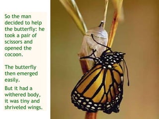 So the man
decided to help
the butterfly: he
took a pair of
scissors and
opened the
cocoon.

The butterfly
then emerged
ea...